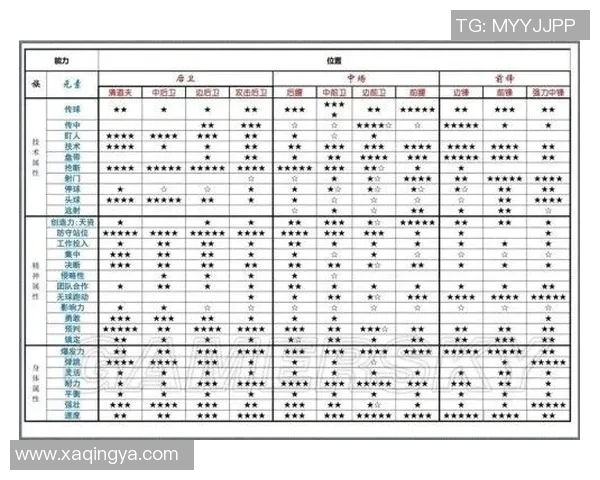 南京排球队进攻战术解析与表现评估的全面探讨