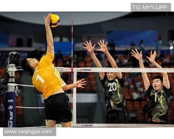 排球巨献:深入解析上海排球队的训练与实力之道 排球巨献:深入解析上海排球队的训练与实力之道