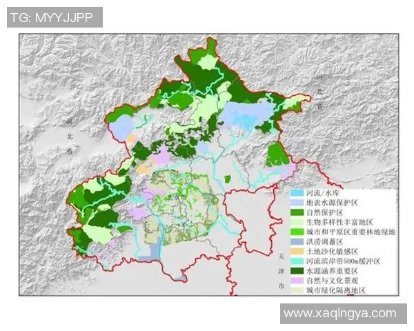 深入分析北京足球队反击战术的特点与应用策略 深入分析北京足球队反击战术的特点与应用策略
