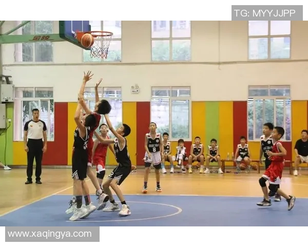 重庆篮球队在全国锦标赛中的技术表现分析与未来发展展望 重庆篮球队在全国锦标赛中的技术表现分析与未来发展展望