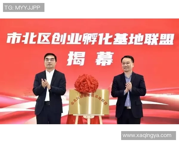 张帆：在新时代浪潮中勇敢追梦的年轻创业者故事与启示