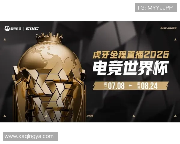 神秘人对决山猫直播揭开电竞世界的神秘面纱与激烈竞争的真相