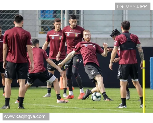 美洲杯精彩对决委内瑞拉挑战巴西足球豪门荣耀之战