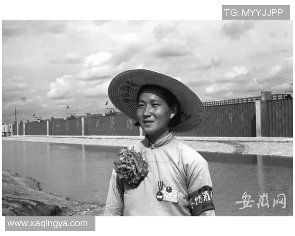 李秀英专访:从球场到人生的篮球旅程与心路历程回顾