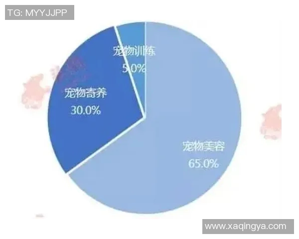 深圳网球队的崛起与发展:探寻其背后的力量与潜力分析