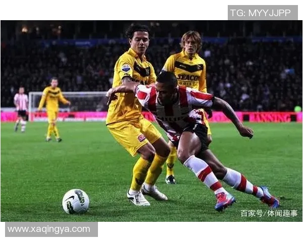 芬洛与海牙对决前瞻分析及比赛结果预测详解